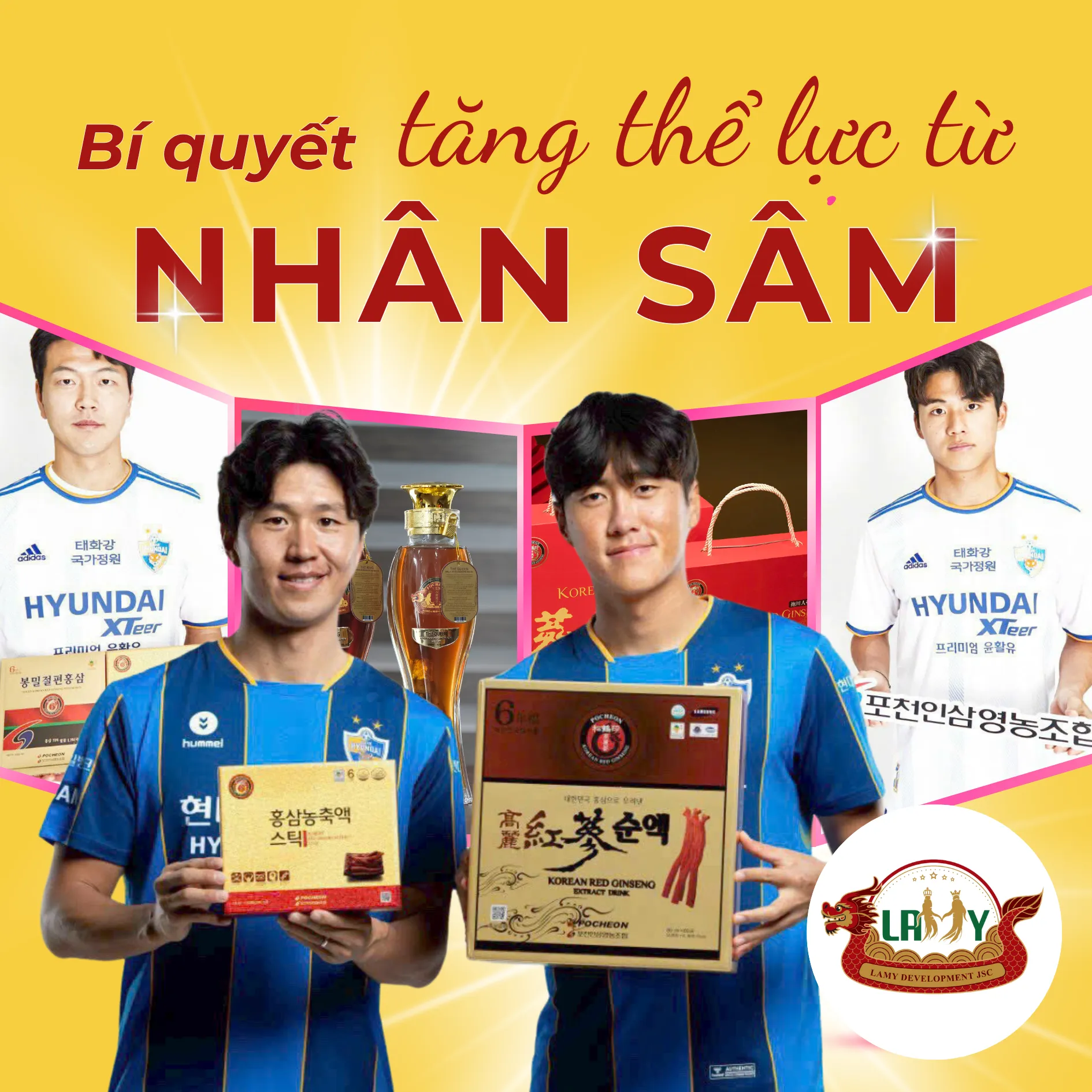 Nhân Sâm – “Siêu Thực Phẩm” Dành Cho Cầu Thủ Bóng Đá và Vận Động Viên Thể Thao